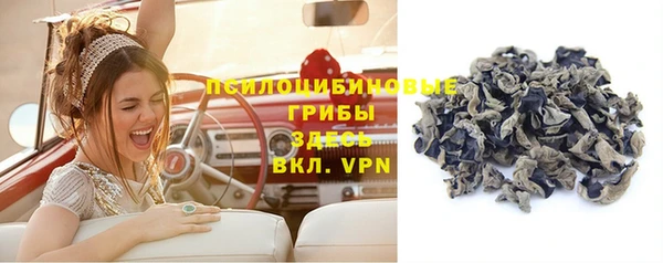 дурь Алексин