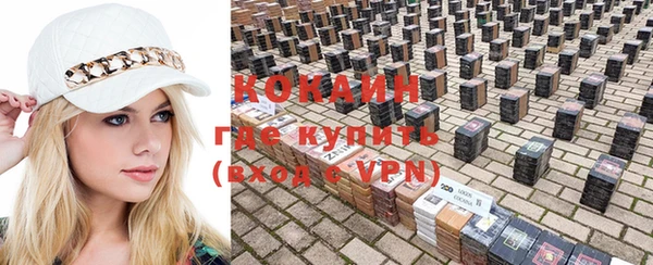 шишки Алзамай