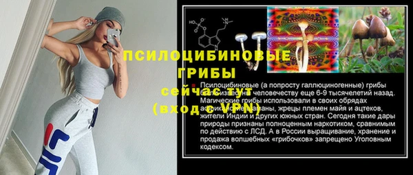 дурь Алексин