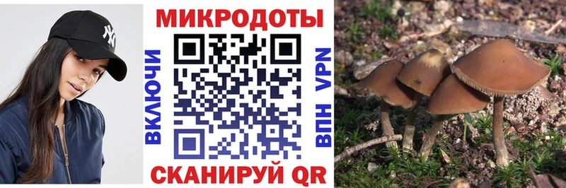 Псилоцибиновые грибы мицелий  Оса 